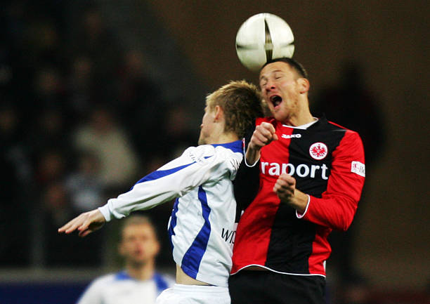 这种理念跨 这种理念跨